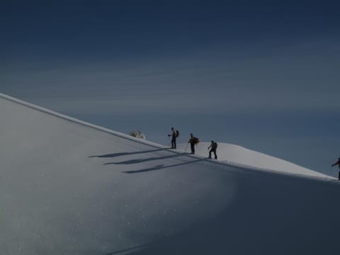 Hiking