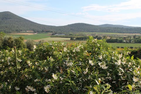 Property building, Garden view