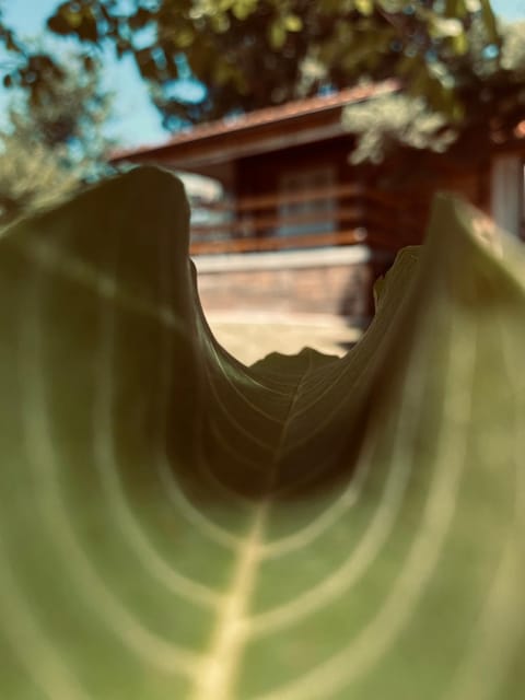 HELONA House in Serbia