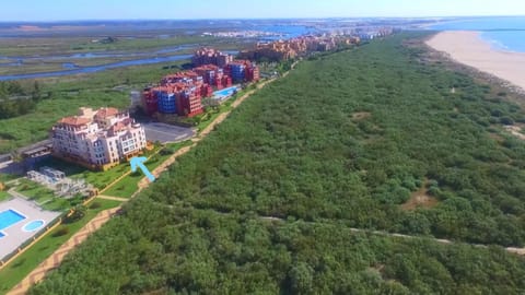 Bird's eye view, Beach