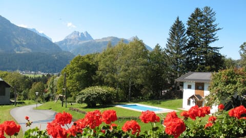 Pool view, Swimming pool, Swimming pool