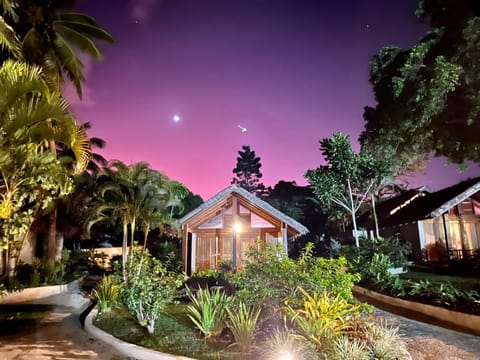 Night, Garden view