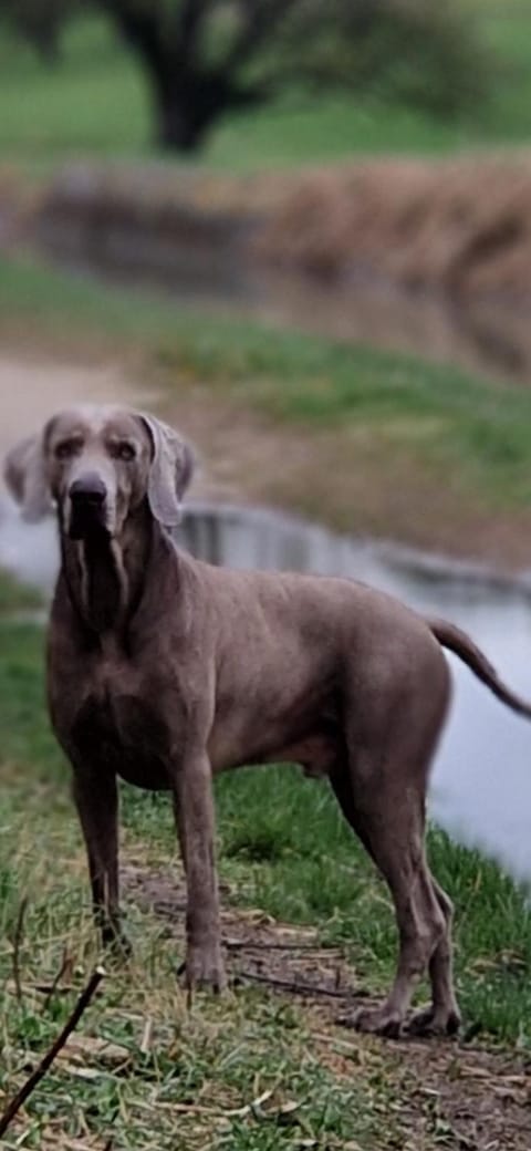 La Bastide des Arts Bed and Breakfast in L'Isle-sur-la-Sorgue