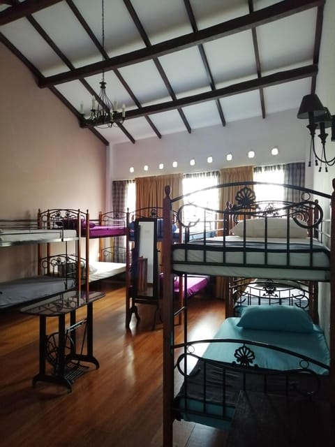 bunk bed