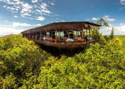 Property building, Bird's eye view
