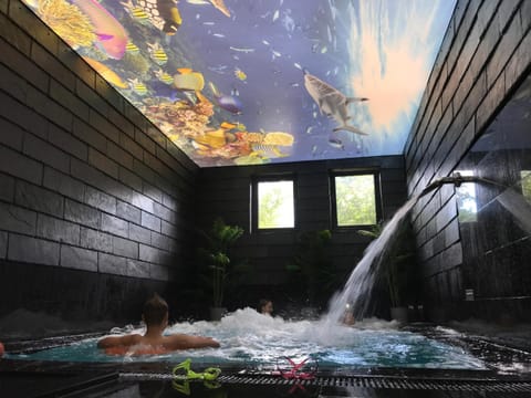 Spa and wellness centre/facilities, Pool view, Swimming pool