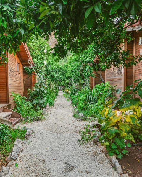 Garden, Garden, Garden view