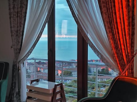 Natural landscape, Living room, Sea view