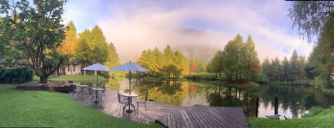 Lake view