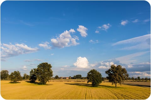 Facade/entrance, Natural landscape, Bird's eye view