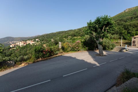 Neighbourhood, Natural landscape, Mountain view