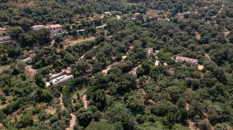Neighbourhood, Natural landscape, Bird's eye view, Street view