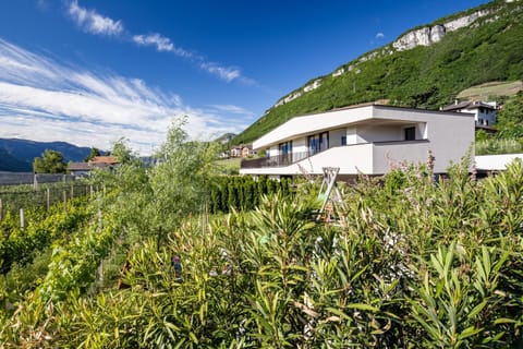 Hof im Kalch Tramin Apartment in Trentino-South Tyrol