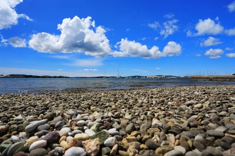 Apartments Sonia Apartment in Šibenik-Knin County, Croatia