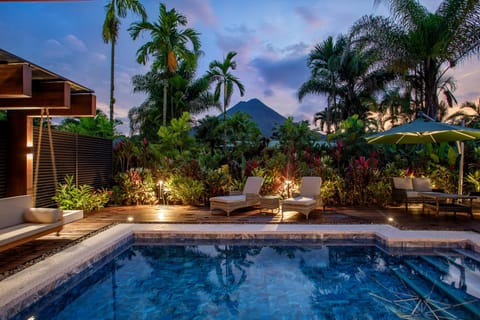 Patio, Garden, Garden view, sunbed