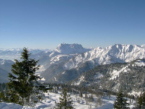 Haus Lena Apartment in Berchtesgadener Land