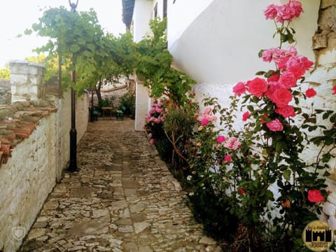 Property building, Patio, Garden