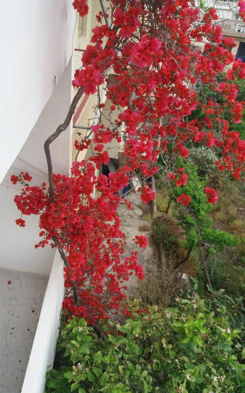 apartment in poros Apartment in Poros