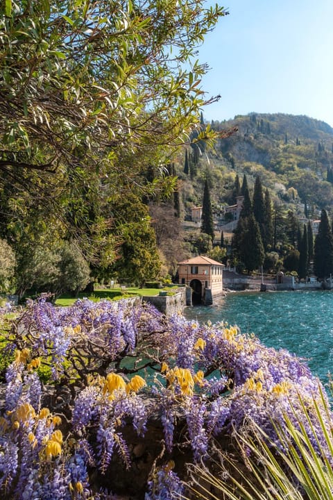 Nearby landmark, Lake view