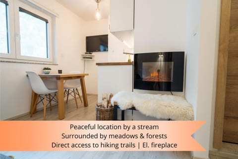 Dining area, fireplace