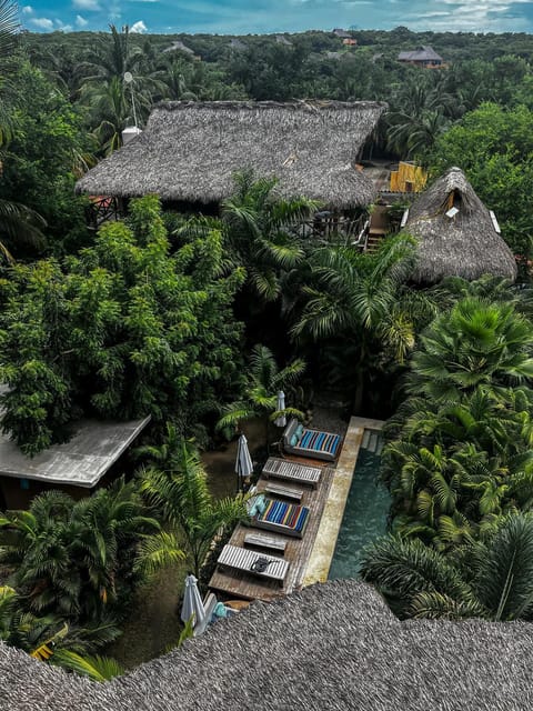 Property building, Natural landscape, Bird's eye view
