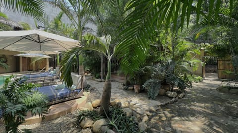 Patio, Natural landscape, Garden, Garden view