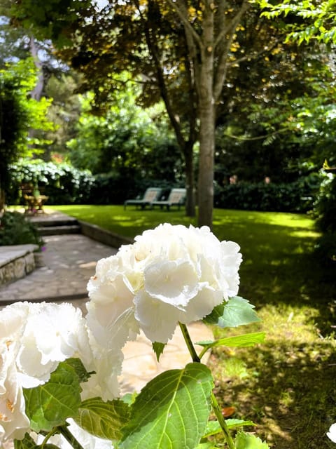 Natural landscape, Garden view, Inner courtyard view