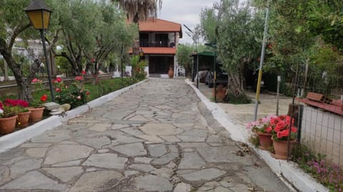 Property building, Garden view