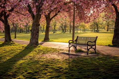 Apart Bernard Rooms Apartment in Edinburgh