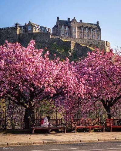 Apart Bernard Rooms Apartment in Edinburgh