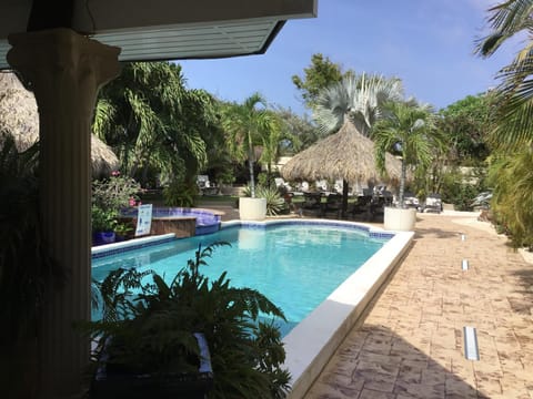 Pool view, Swimming pool