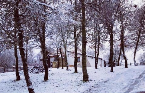 Day, Natural landscape, Winter