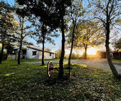 Property building, Garden, Autumn, Garden view, Sunset