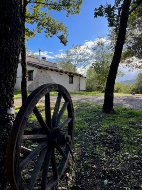 Property building, Garden