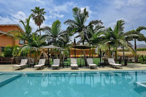 Pool view, Swimming pool