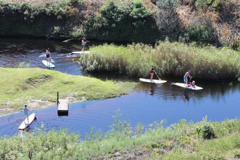Summer, Canoeing, On site, River view, Sports
