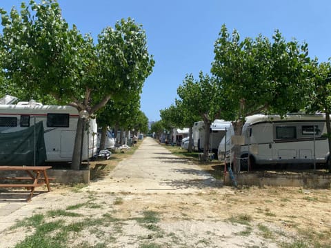 Camping Adriatico Campground/ 
RV Resort in Abruzzo