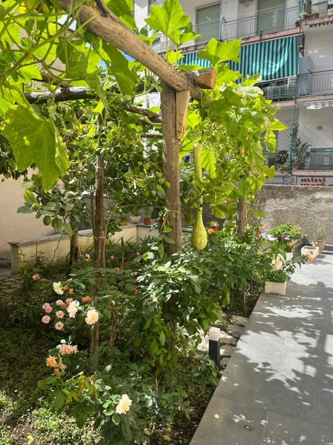 Le Case di Don Andrea Apartment in Minori