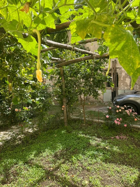 Le Case di Don Andrea Apartment in Minori