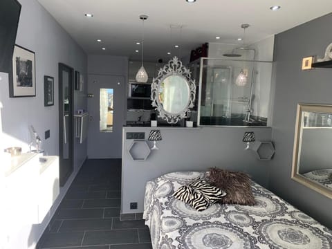 Toilet, Bed, Hot Tub, Photo of the whole room, Decorative detail