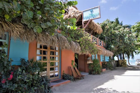 Property building, Street view