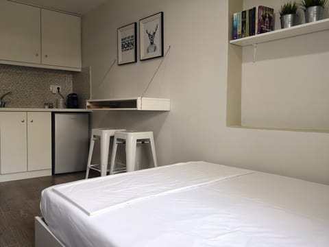 Bed, Kitchen or kitchenette, Photo of the whole room