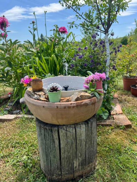 Bungalovi Mijakovici Bed and Breakfast in Zlatibor District, Serbia