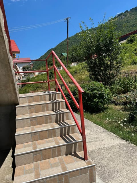 Apartment Osmajic Apartment in Montenegro