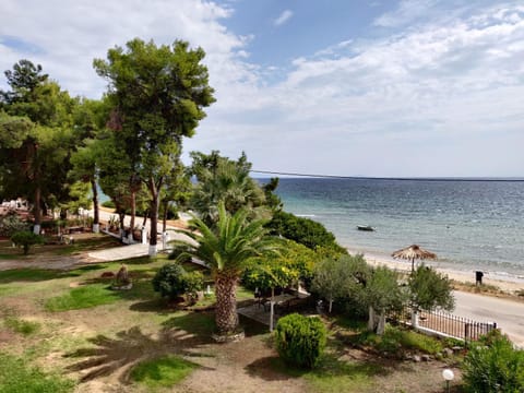 Spring, Day, Summer, Garden, Beach, Beach, Garden view, Garden view, Sea view, Sea view, Street view, Street view, Seasons, Time of day, Location, Sunset
