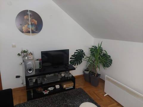 Jasna Apartman Apartment in Serbia