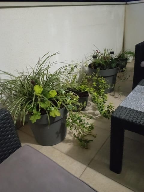 Jasna Apartman Apartment in Serbia