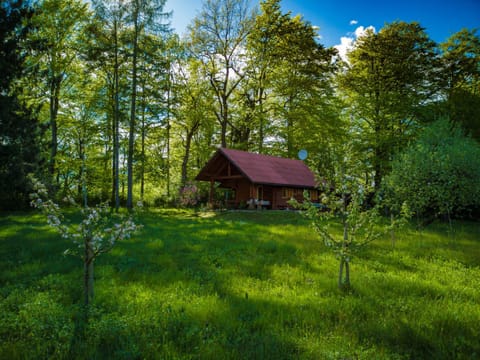 Property building, Spring, Day, Natural landscape, Garden, Garden view