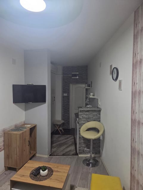 Zen apartman 1 Apartment in Timiș County