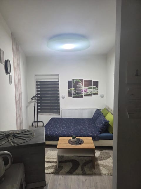 Zen apartman 1 Apartment in Timiș County